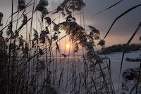 Winterwunder Rothsee 2012
